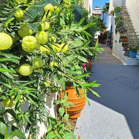 Βig Βlue Apartments Makrýgialos Exteriör bild