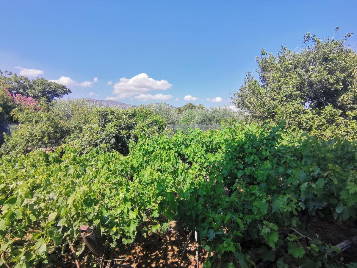 Βig Βlue Apartments Makrýgialos Exteriör bild