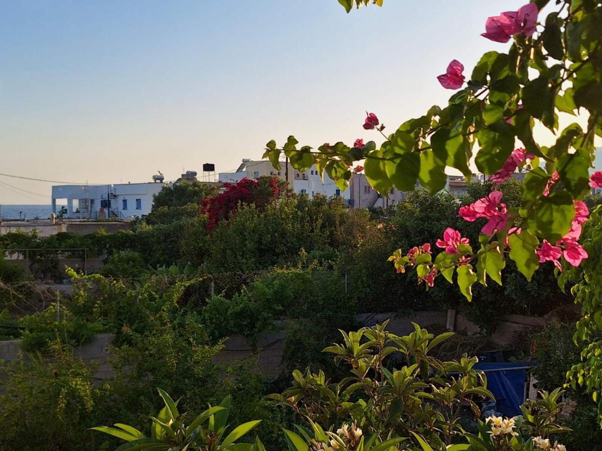 Βig Βlue Apartments Makrýgialos Exteriör bild