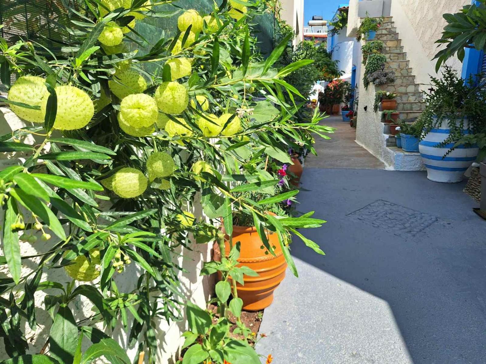 Βig Βlue Apartments Makrýgialos Exteriör bild