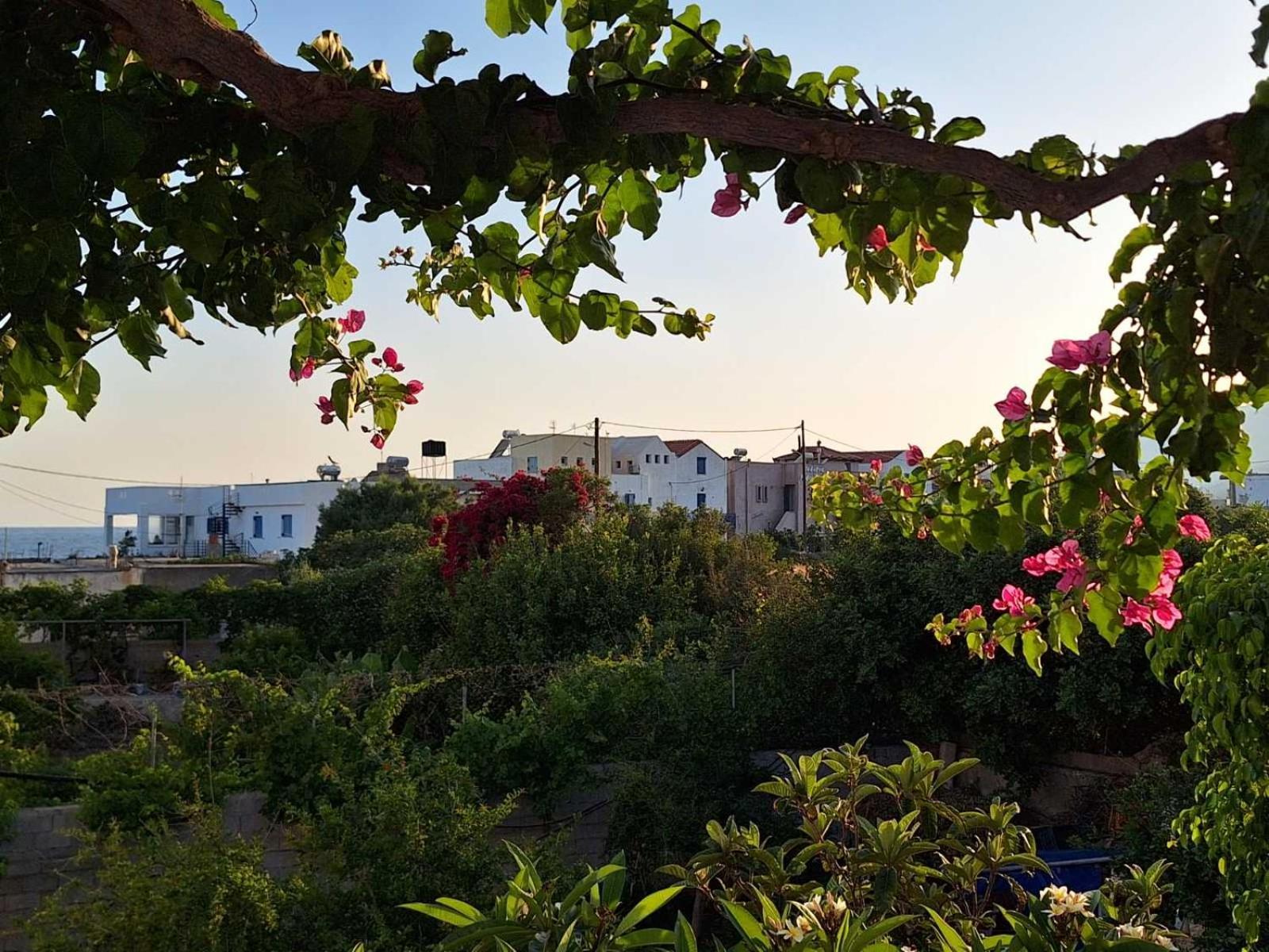 Βig Βlue Apartments Makrýgialos Exteriör bild