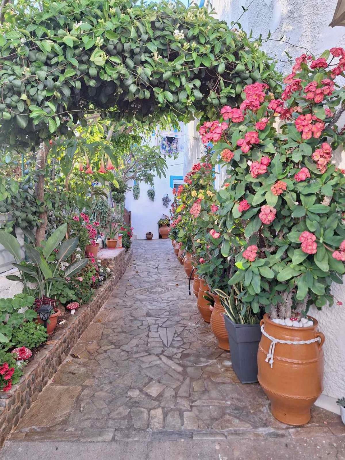 Βig Βlue Apartments Makrýgialos Exteriör bild