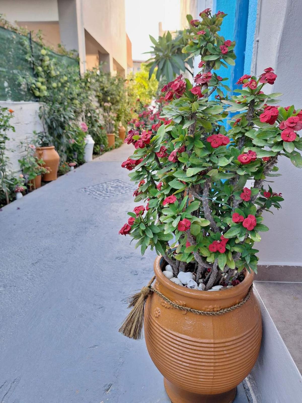 Βig Βlue Apartments Makrýgialos Exteriör bild