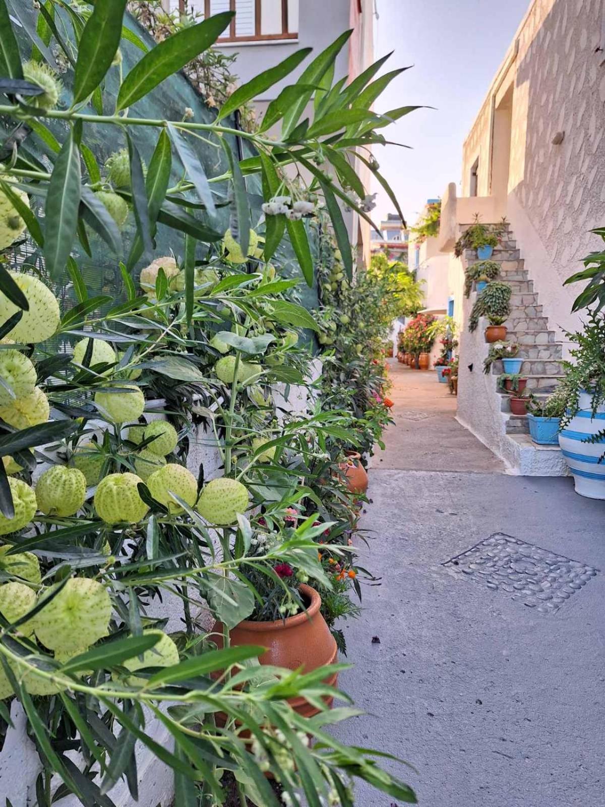 Βig Βlue Apartments Makrýgialos Exteriör bild