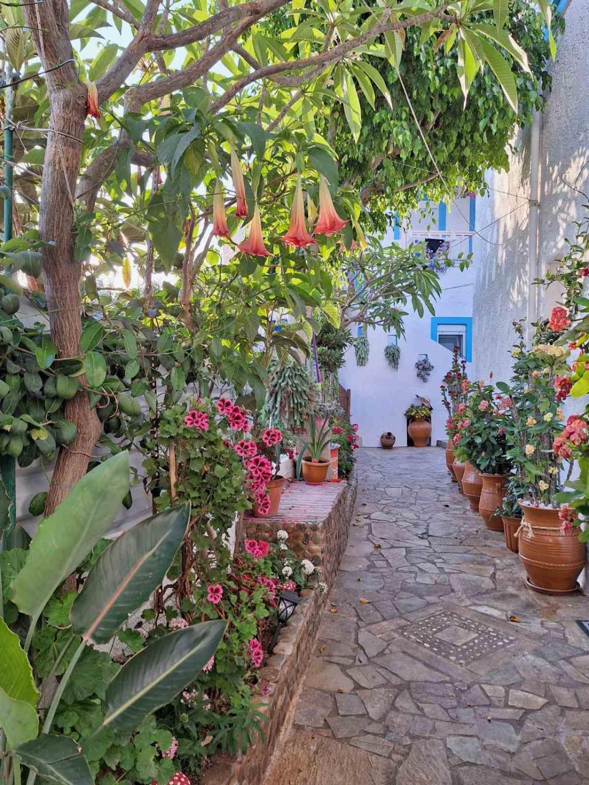 Βig Βlue Apartments Makrýgialos Exteriör bild