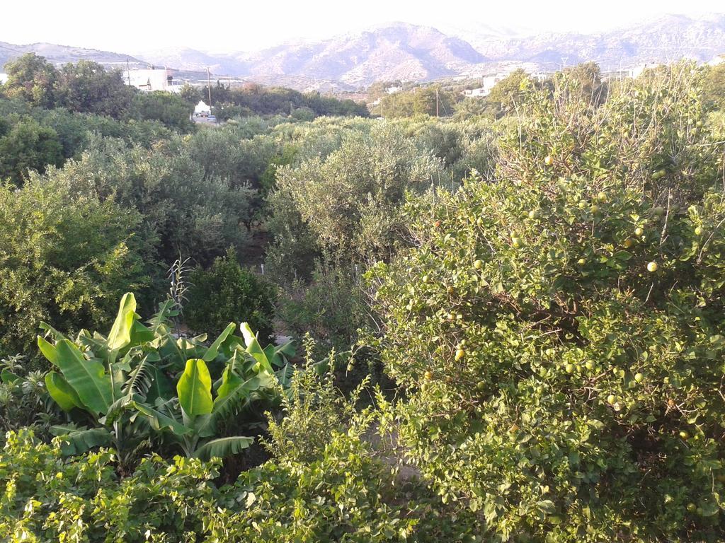 Βig Βlue Apartments Makrýgialos Rum bild