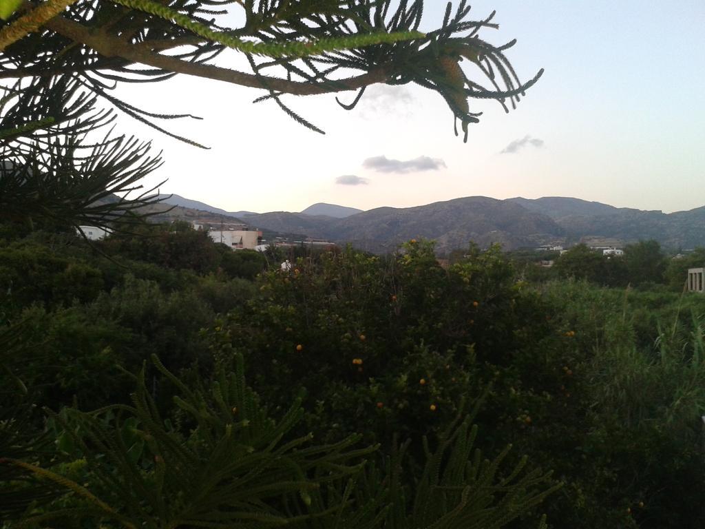 Βig Βlue Apartments Makrýgialos Rum bild
